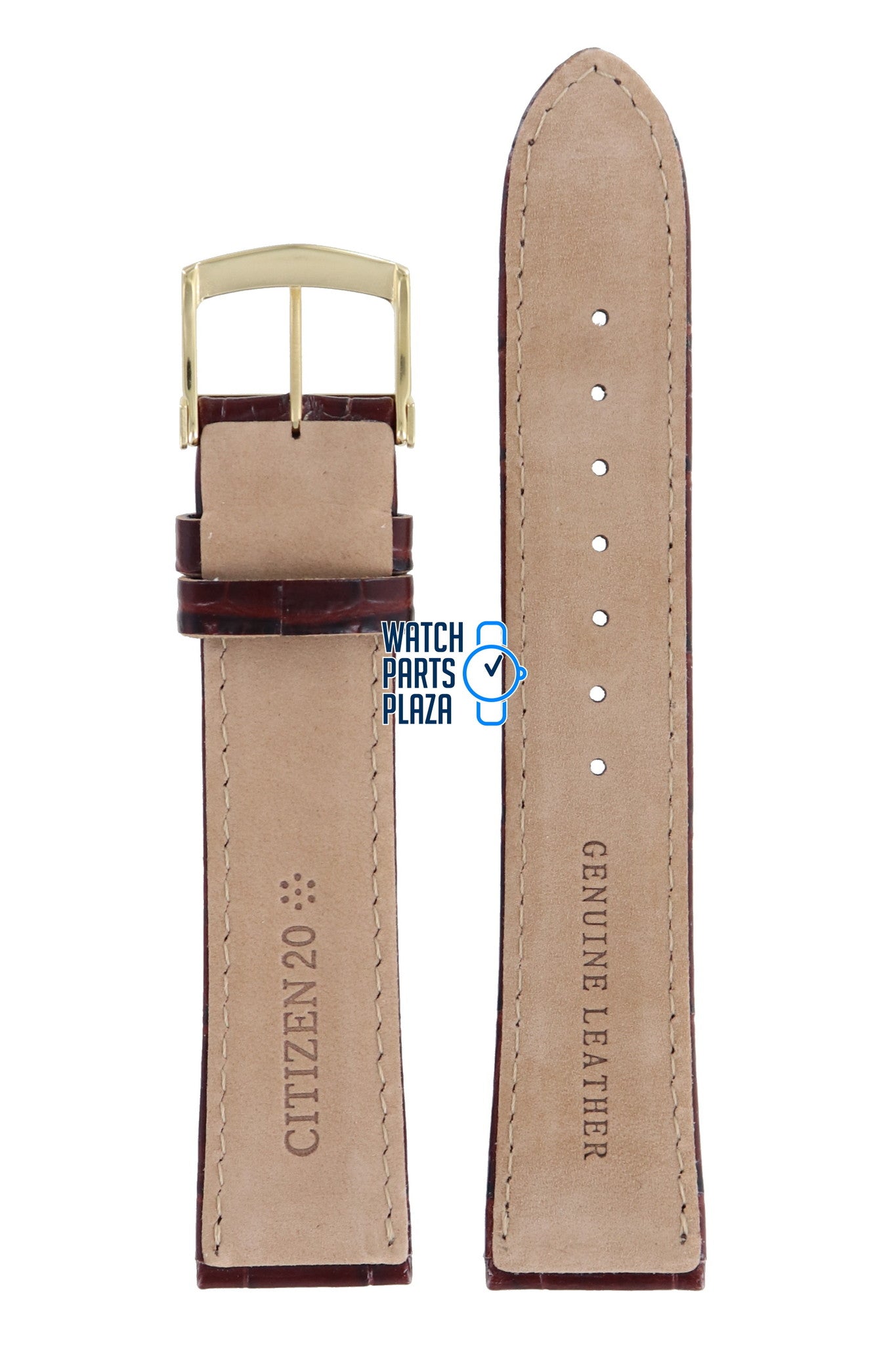 Citizen BM8243 - 05A, BM8243 - 05E Watch Band 59 - S51938 Brown Leather 20 mm Eco - Drive - Watch Plaza