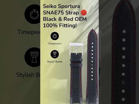 Seiko SNAE75J1, SNAE75P1 & SCJC043 Watch Band L01M013J0